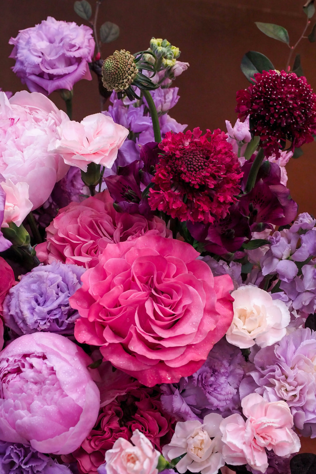 ❀ Graceful Melody
