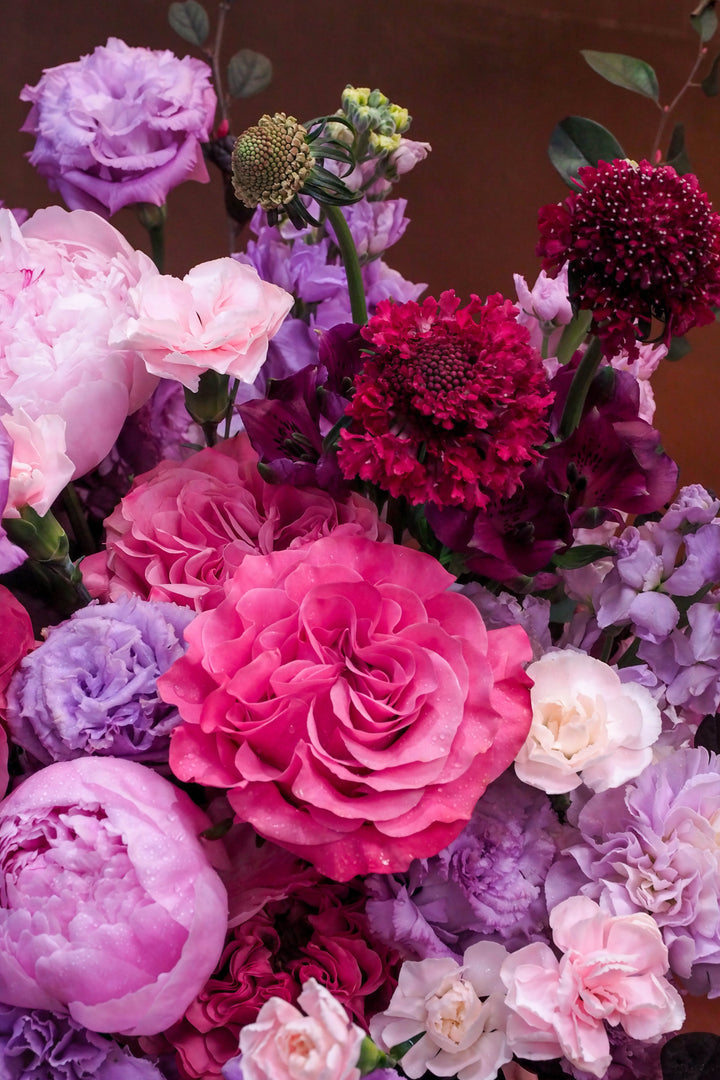 ❀ Graceful Melody