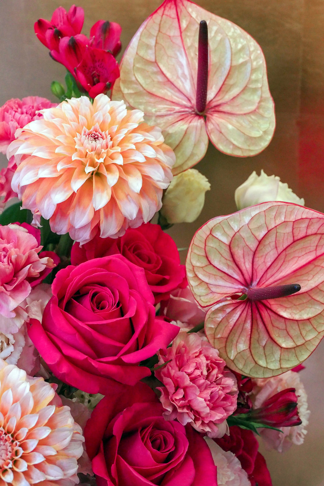 ❀ Symphony of Love