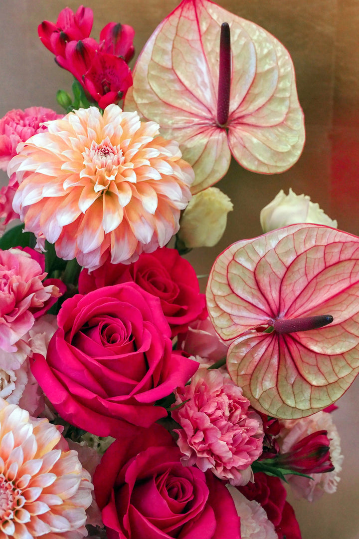 ❀ Symphony of Love