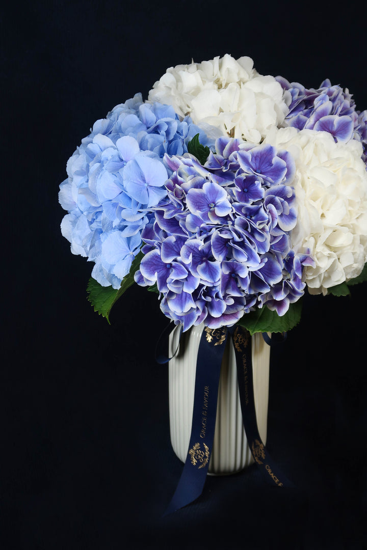 ❀The Hydrangea