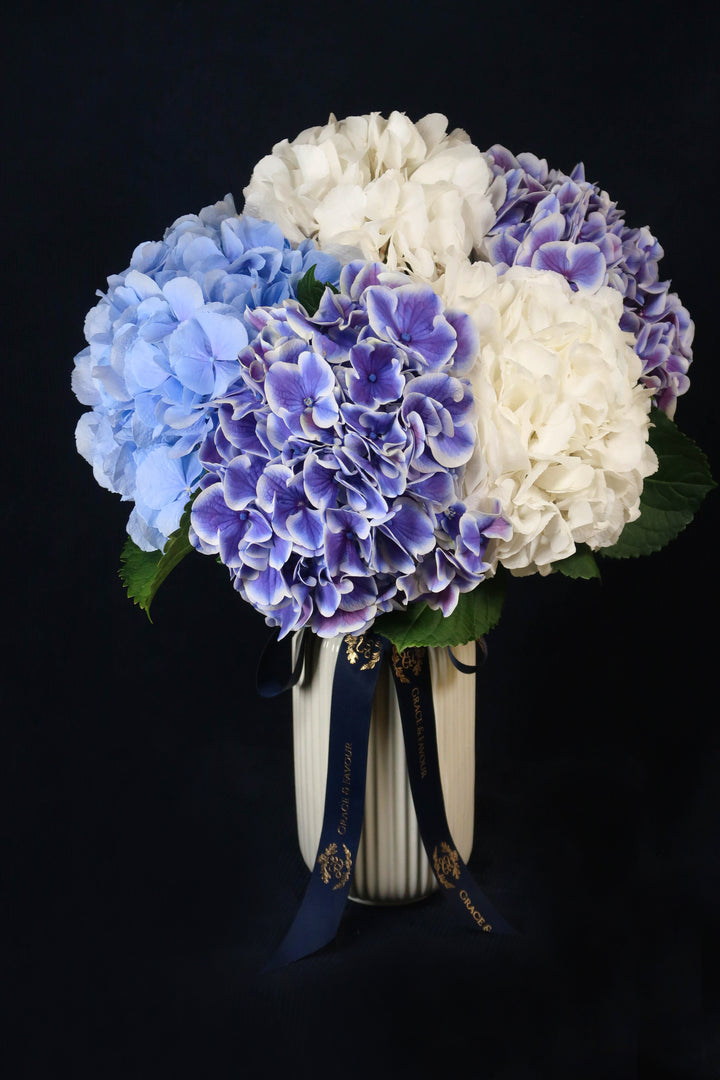❀The Hydrangea