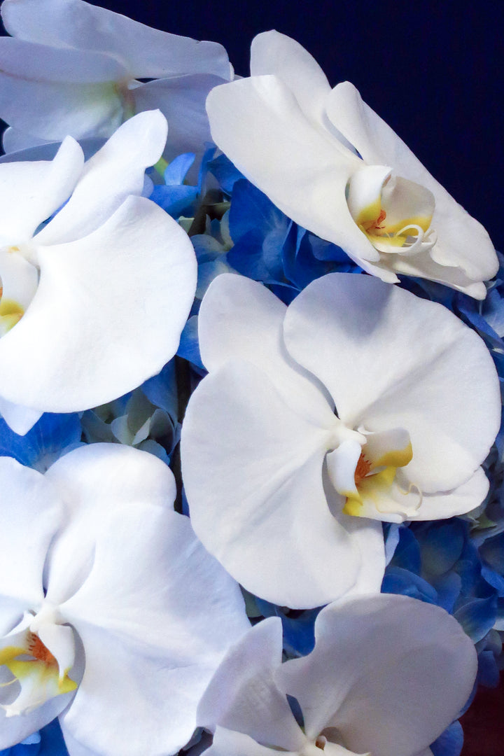 Azure Serenity