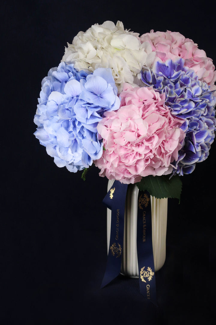 ❀The Hydrangea