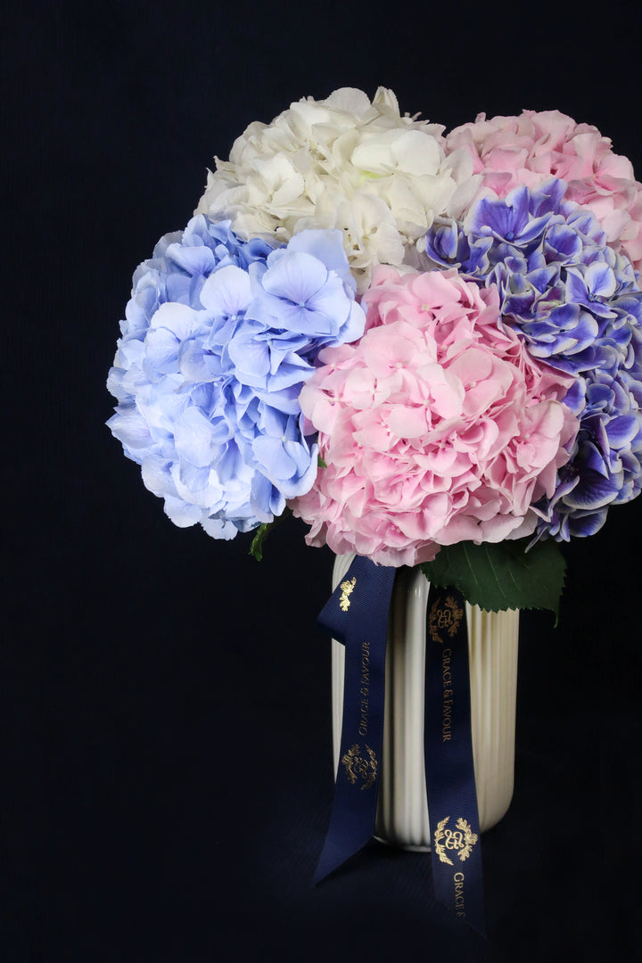❀The Hydrangea