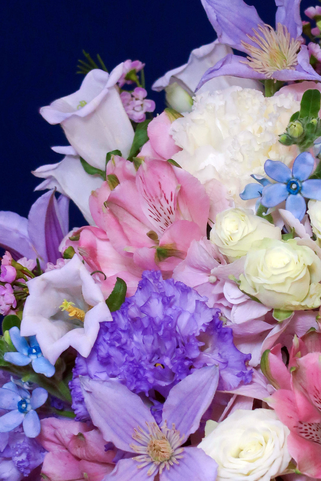 Pastel Dreamscape