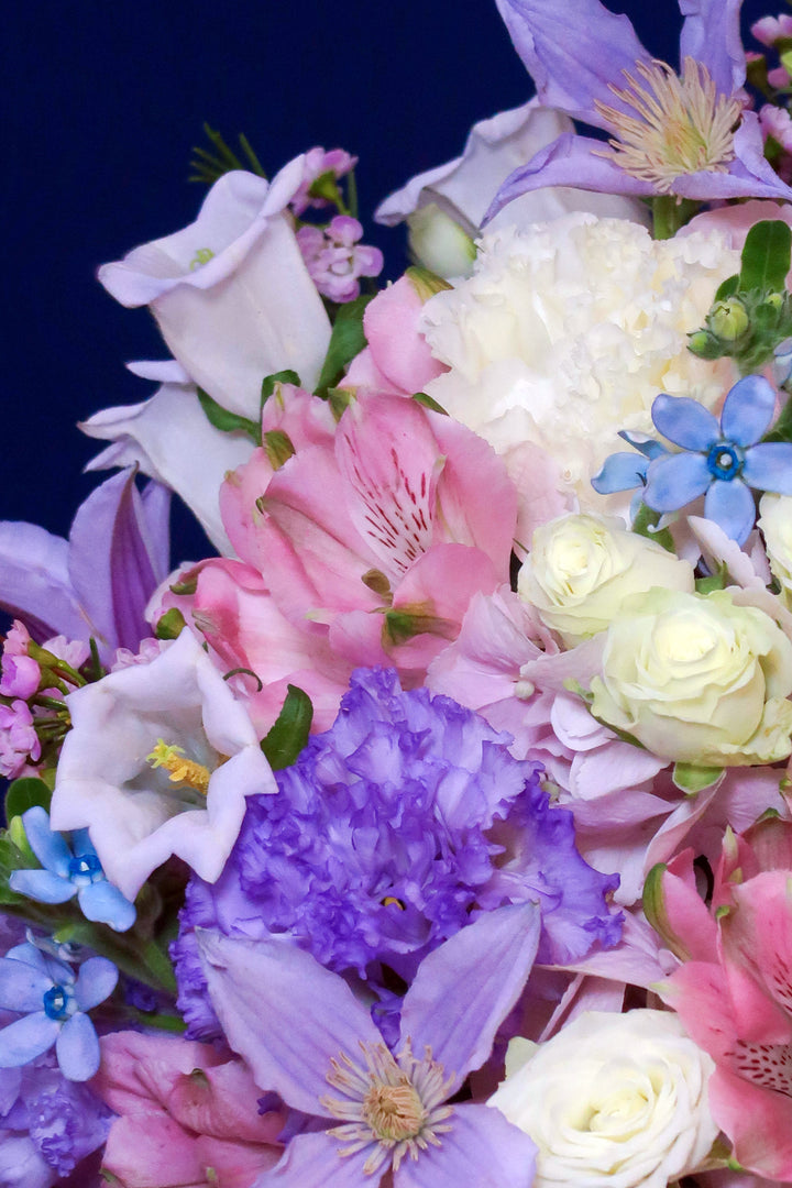 Pastel Dreamscape