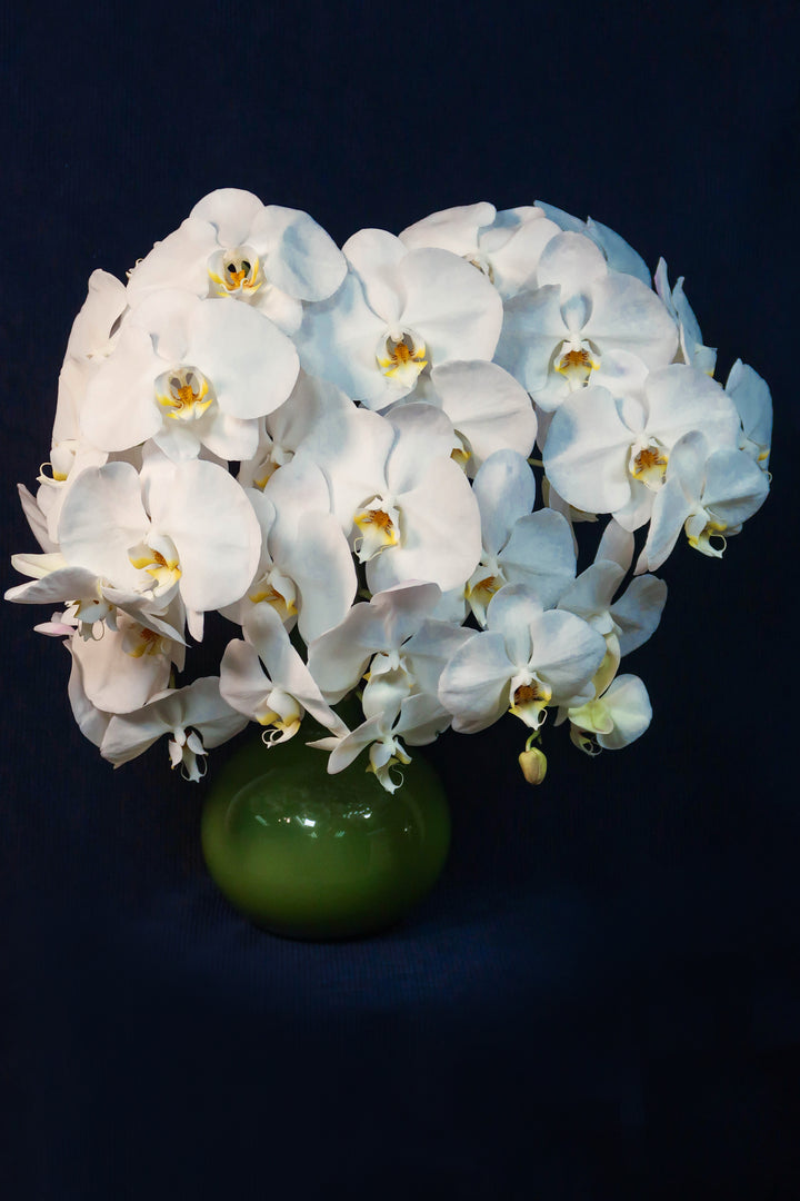 ❀ Ethereal Elegance