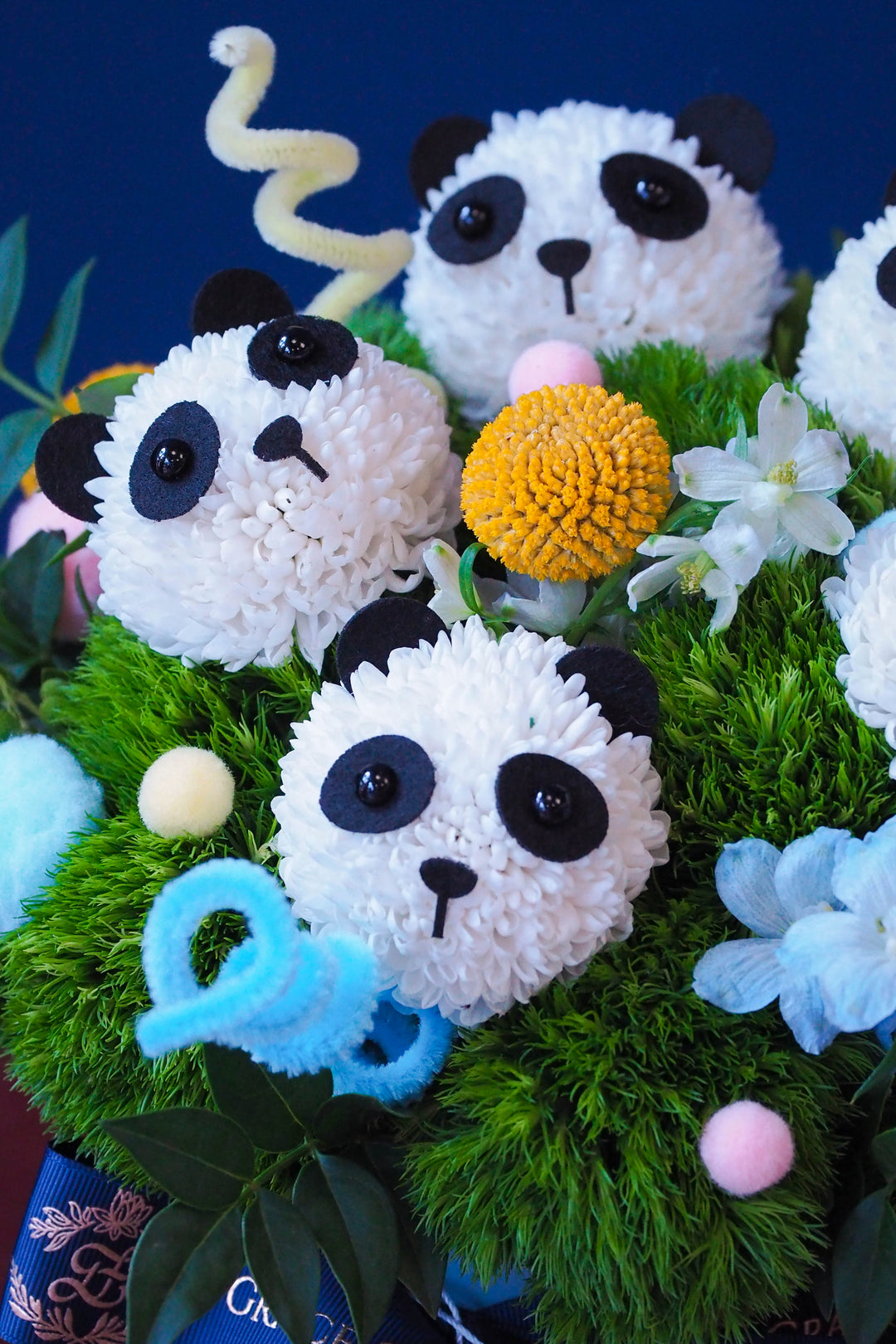 Panda Pals