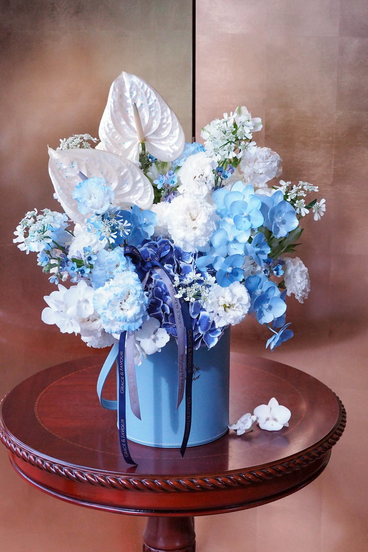 ❀ Glacial Spark