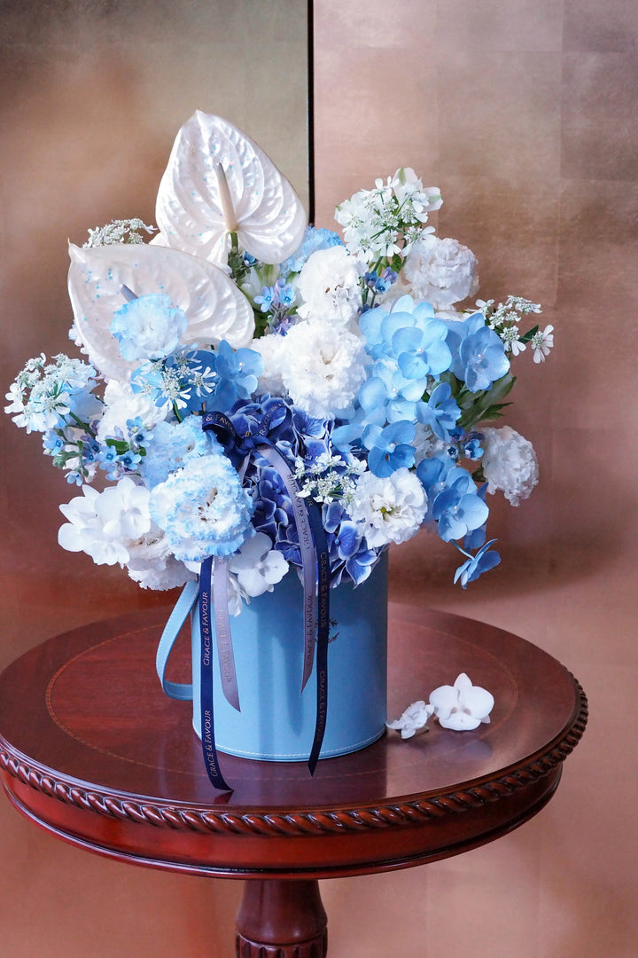❀ Glacial Spark