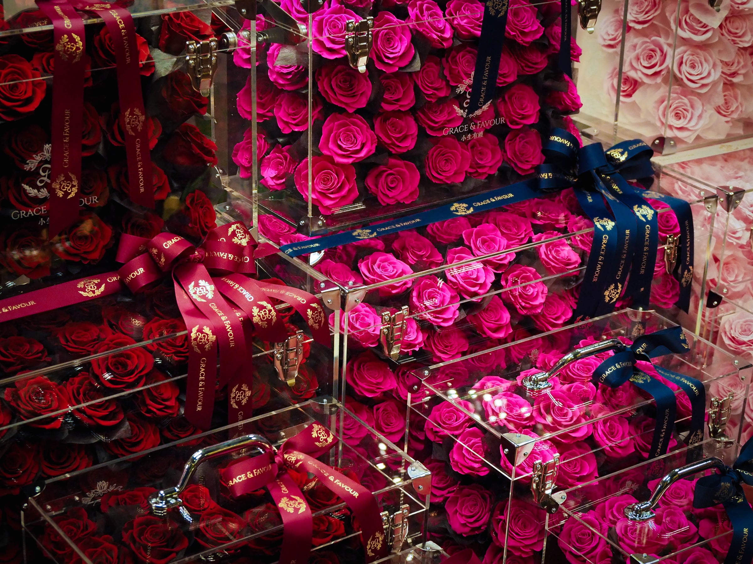 Forever Roses