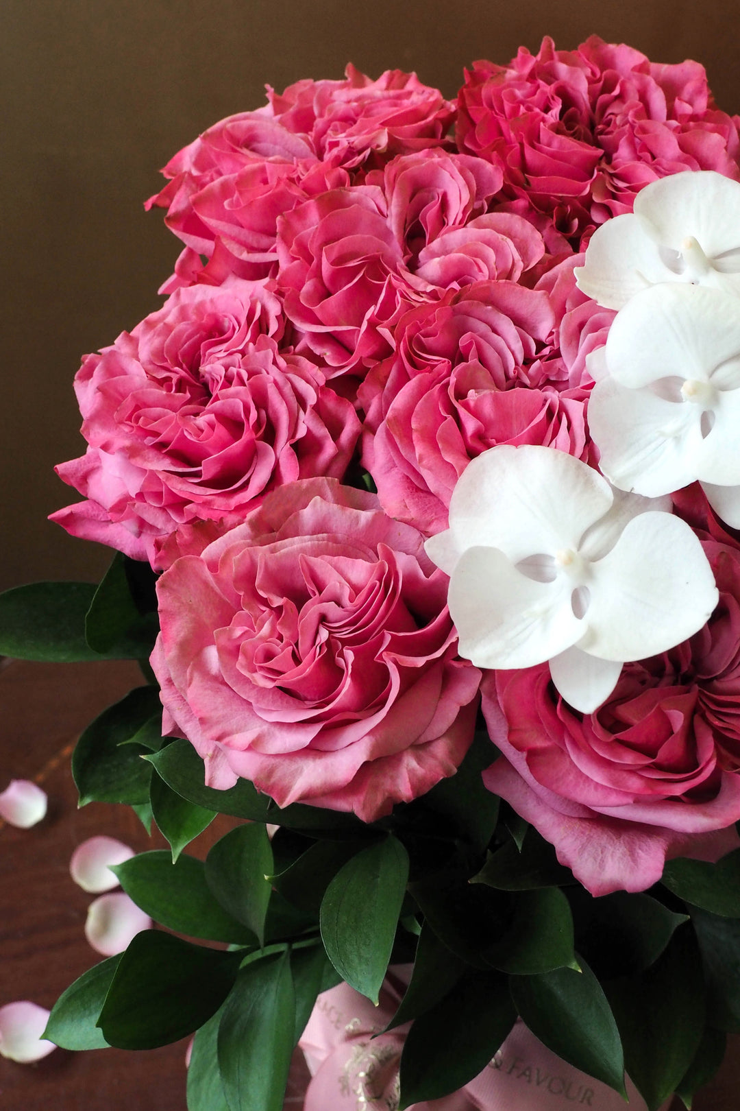 ♥ Ensemble | Together