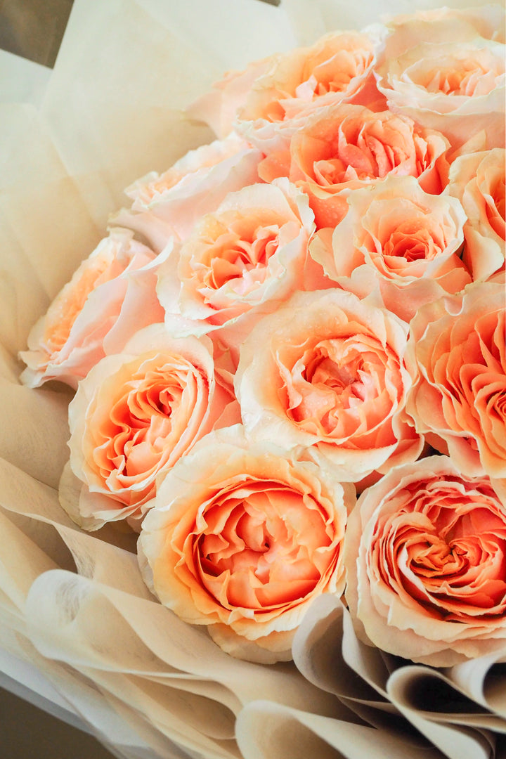 ♥ Je te promets |  I Promise you