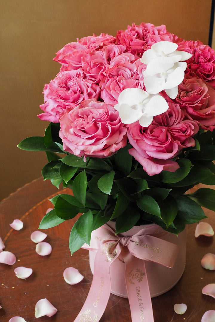 ♥ Ensemble | Together