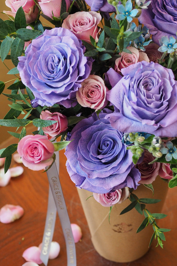 ♥ Coeur de Violette | Violet Heart