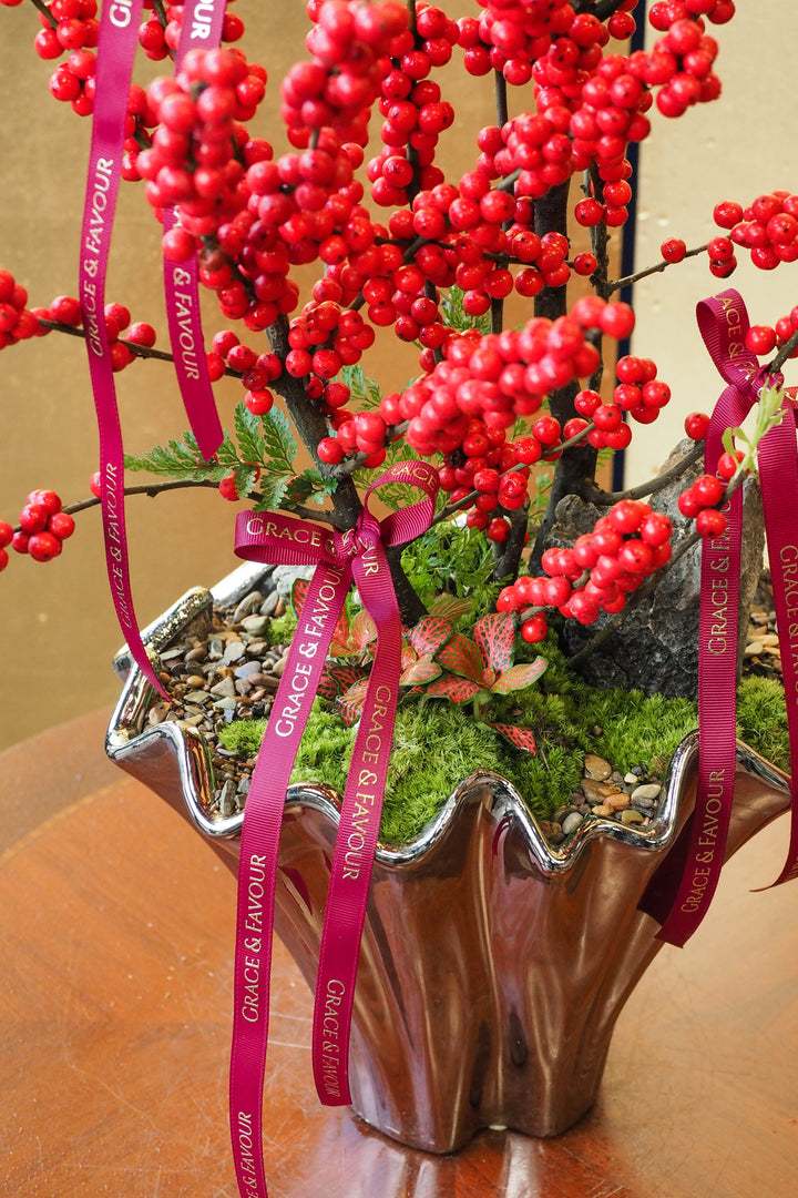 CNY 2026 | Ilex 'Winter Red' (Winterberry)