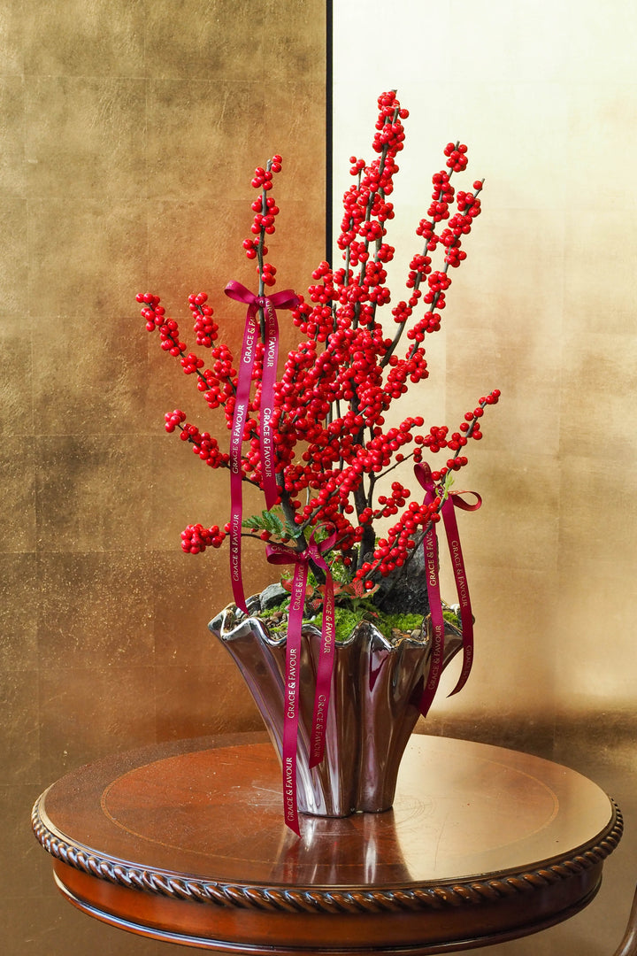 CNY 2026 | Ilex 'Winter Red' (Winterberry)
