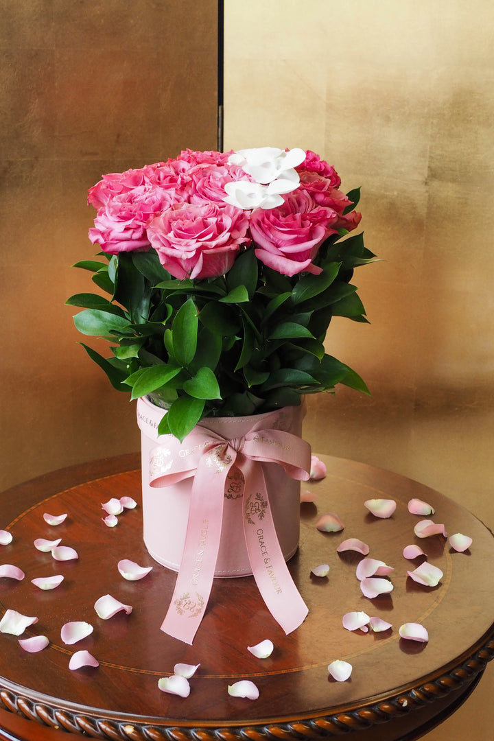 ♥ Ensemble | Together