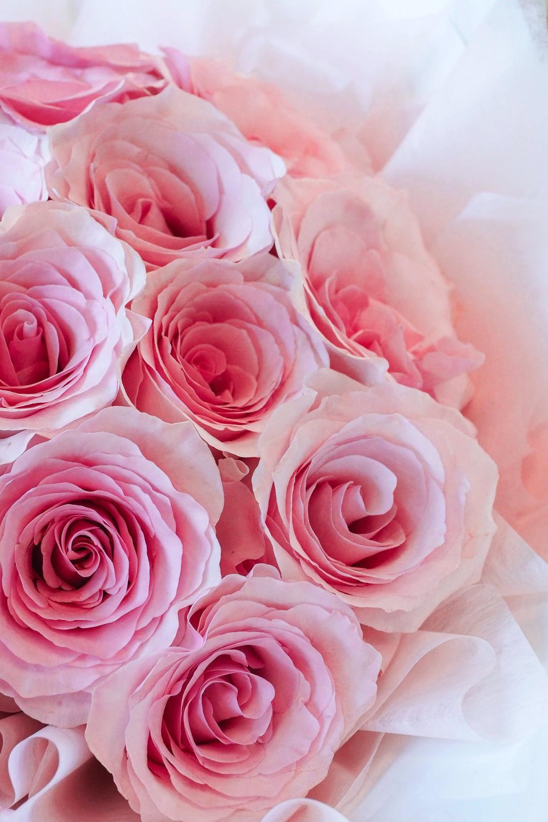 ♥ Mon cœur t'appartient | My Heart Is Yours