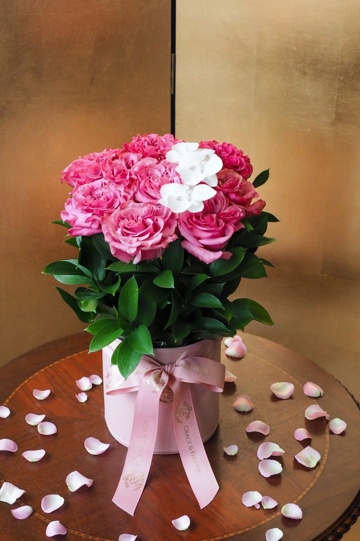 ♥ Ensemble | Together