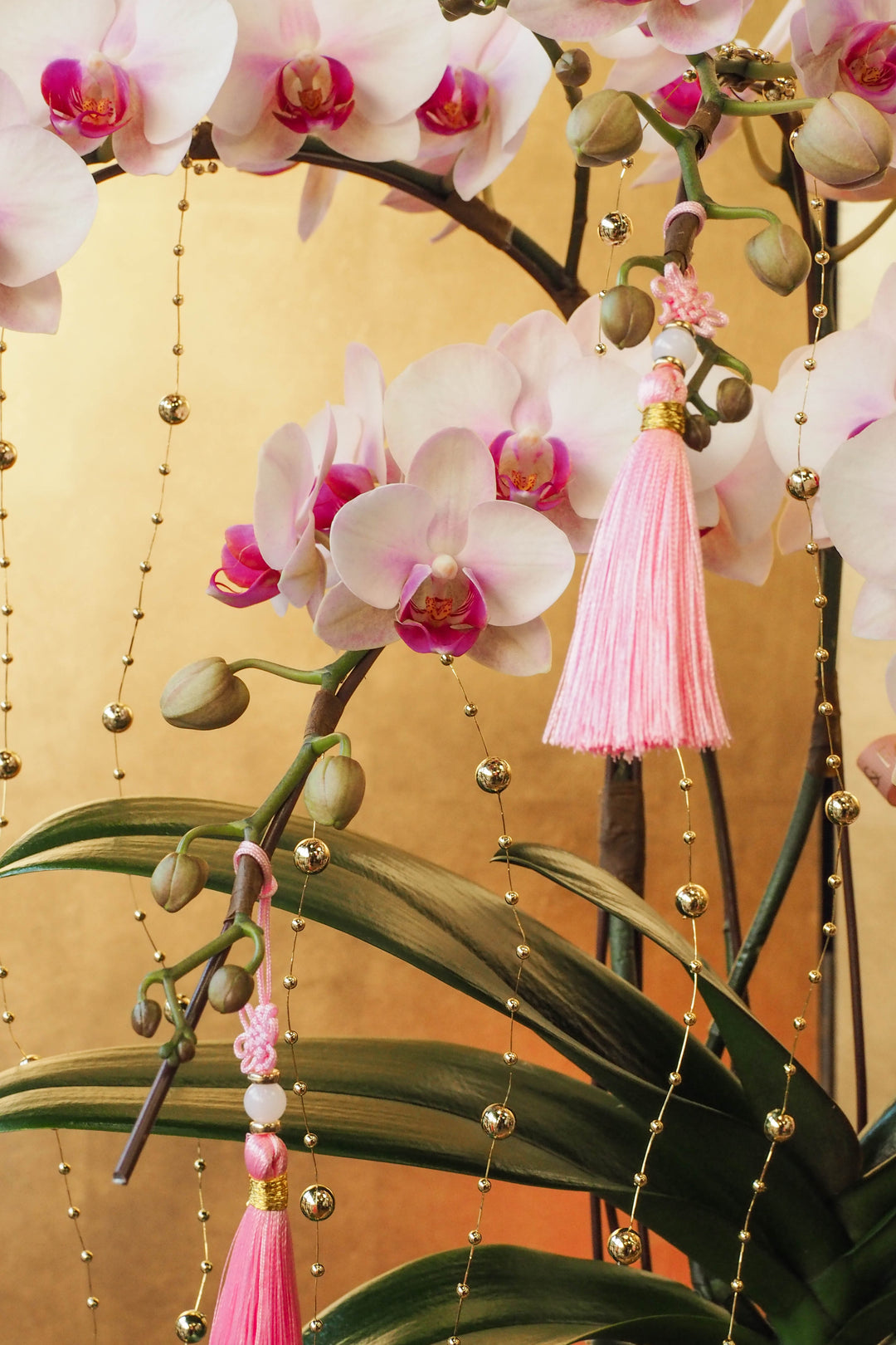 CNY 2026 | Mini Phalaenopsis Orchid Tree 5'