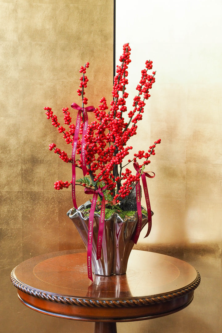 CNY 2026 | Ilex 'Winter Red' (Winterberry)