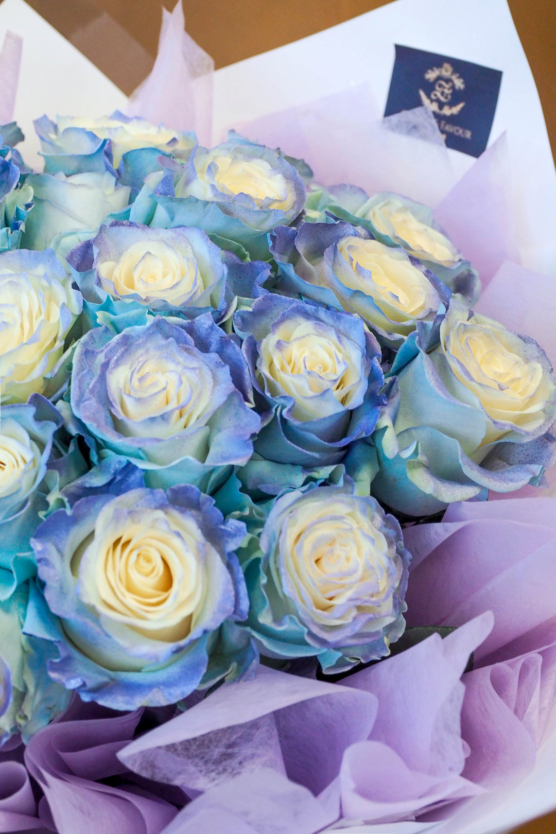 ♥ Mystère de la Lune | Mystery of the Moon