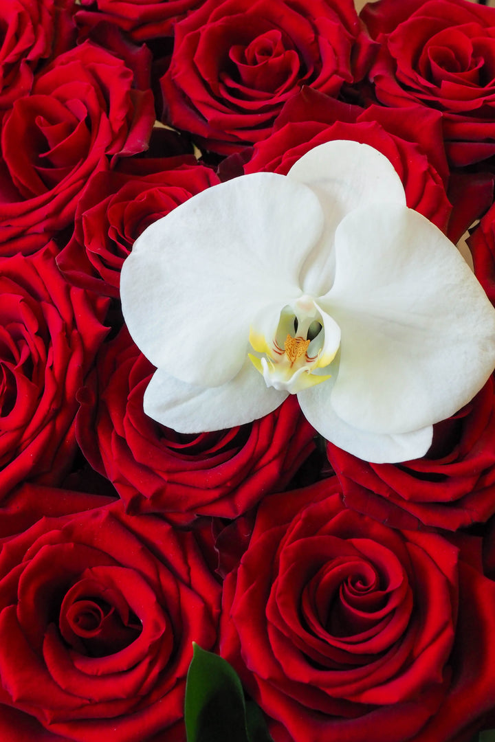 ♥ Pour l’éternité | For Eternity