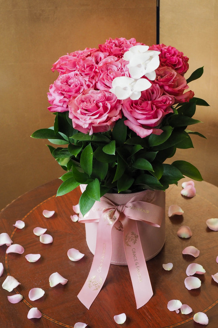 ♥ Ensemble | Together