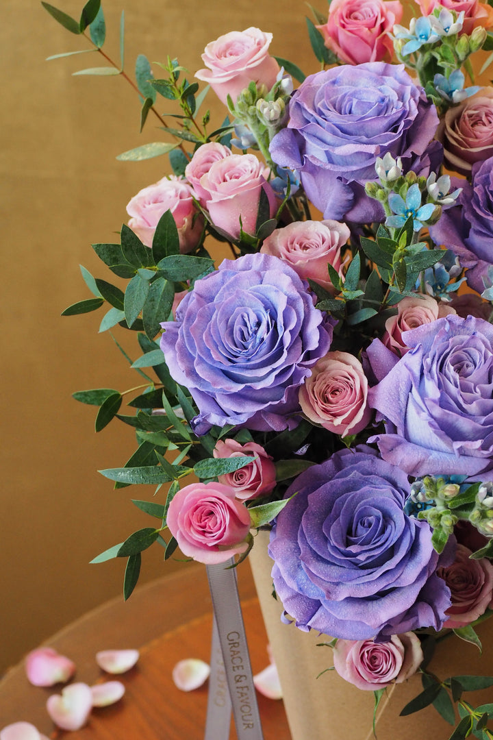 ♥ Coeur de Violette | Violet Heart