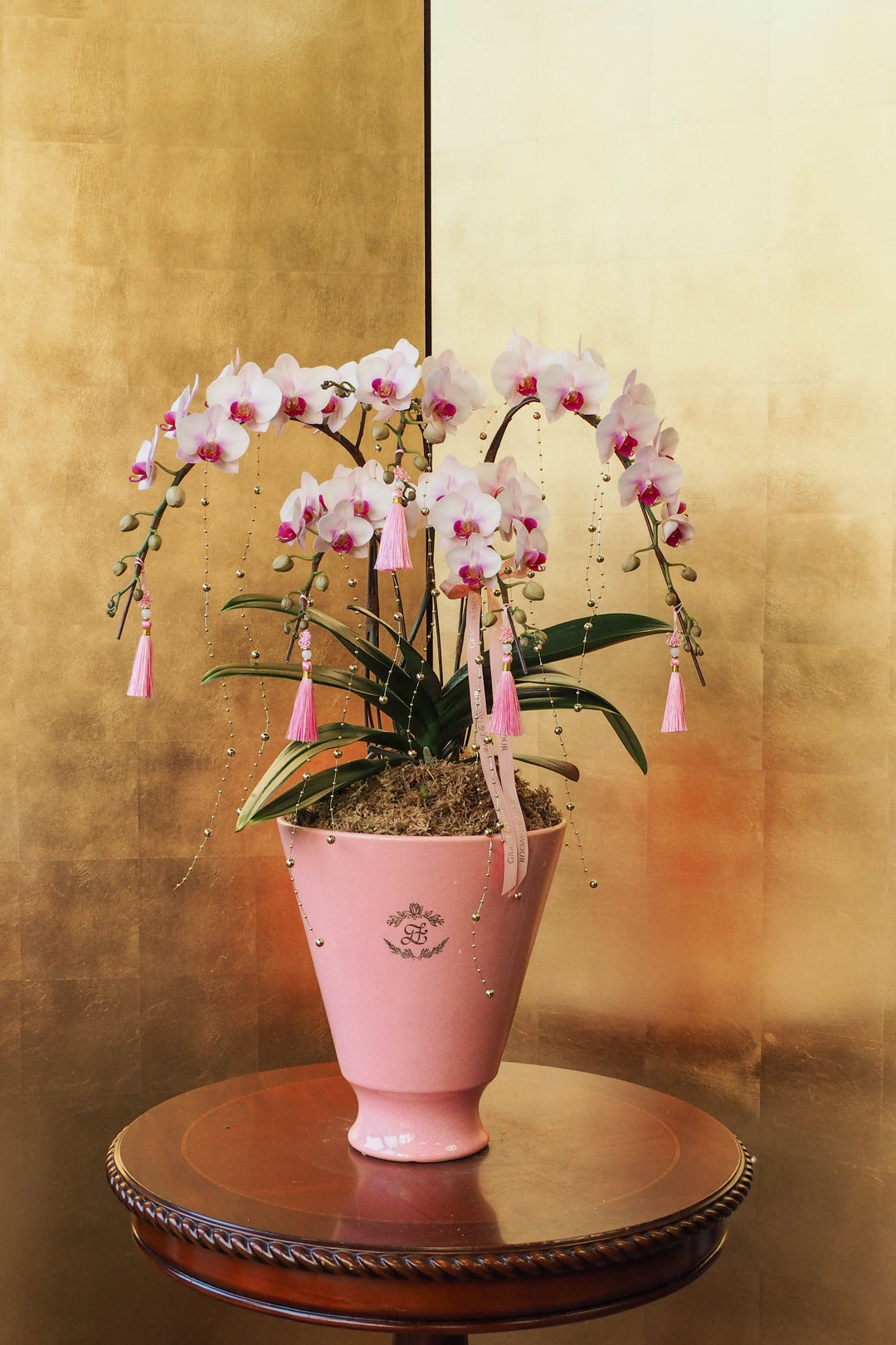 CNY 2026 | Mini Phalaenopsis Orchid Tree 5'