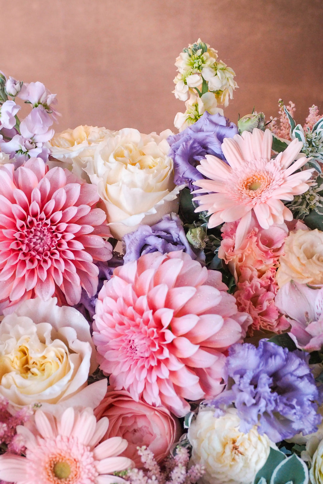 ❀ Summer Muse