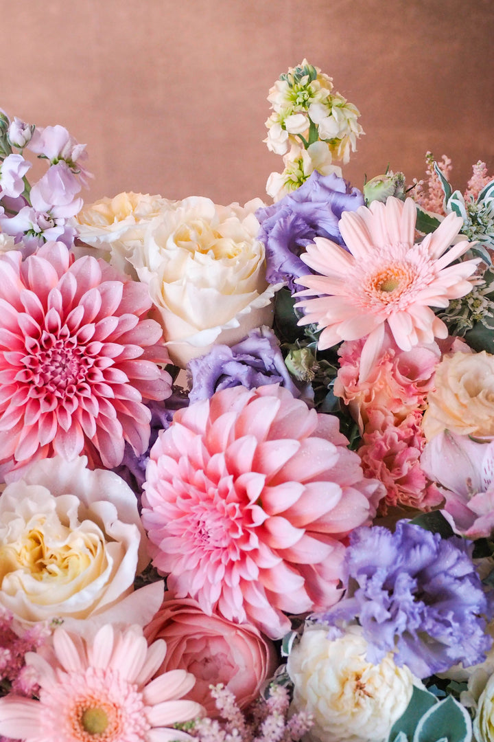 ❀ Summer Muse