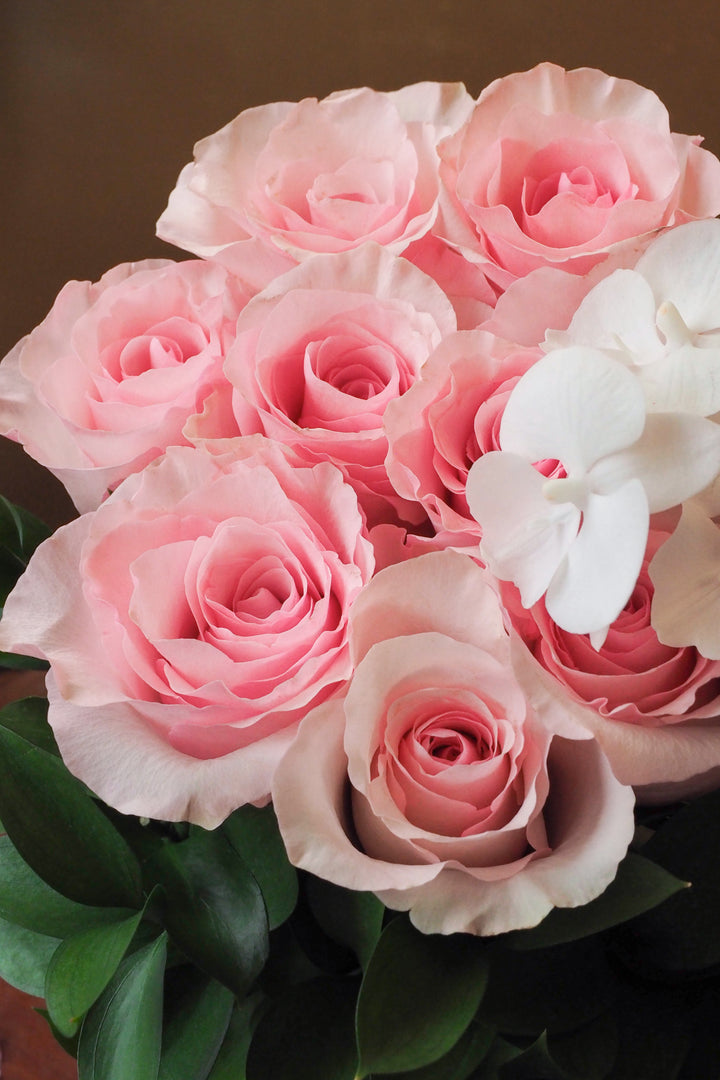 ♥  Mon tout | My Everything