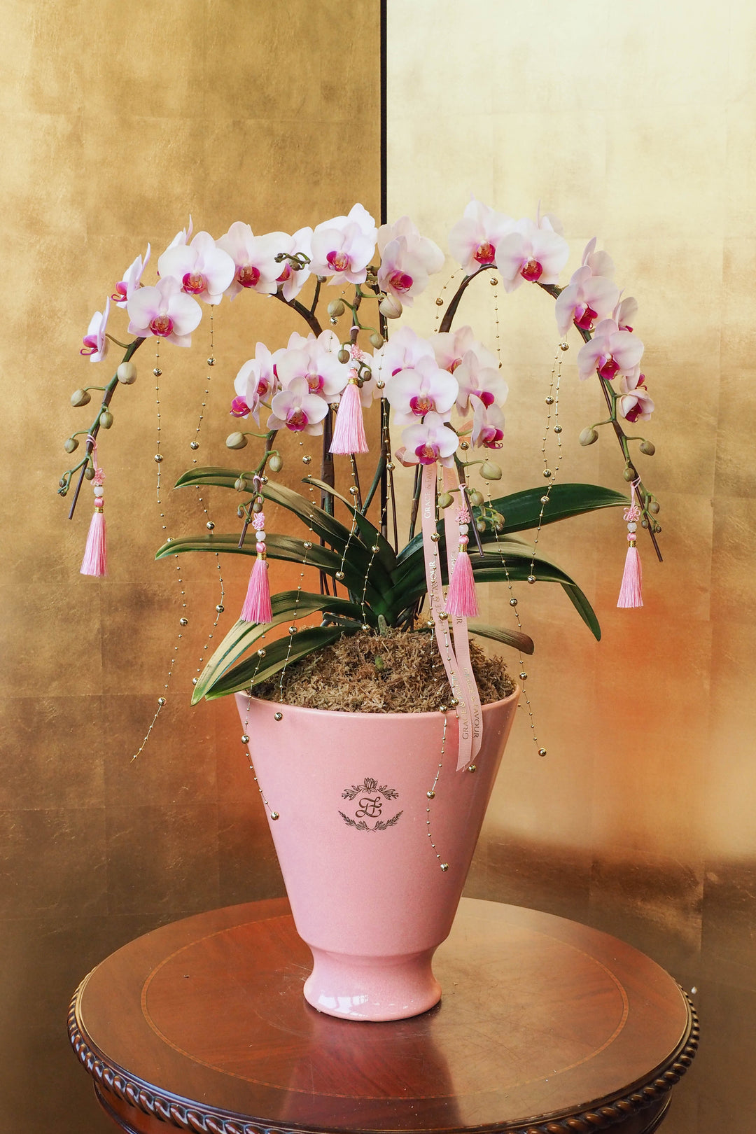 CNY 2026 | Mini Phalaenopsis Orchid Tree 5'
