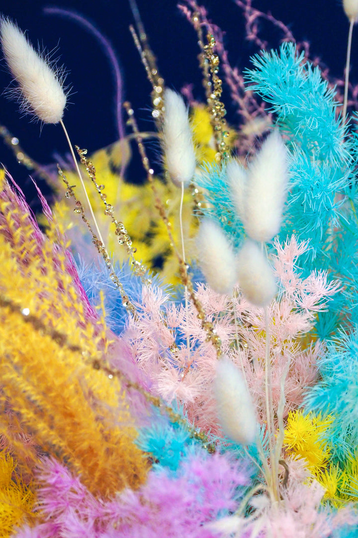 ♥ Feux du Jour | Daylight Fireworks