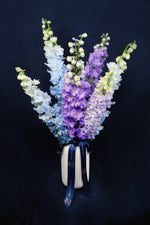 Load image into Gallery viewer, ❀The Delphinium
