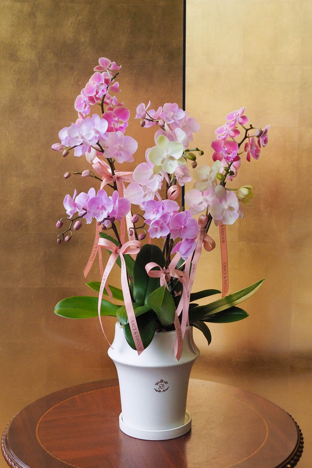 CNY 2026 | Pastel Posy · Phalaenopsis Orchids