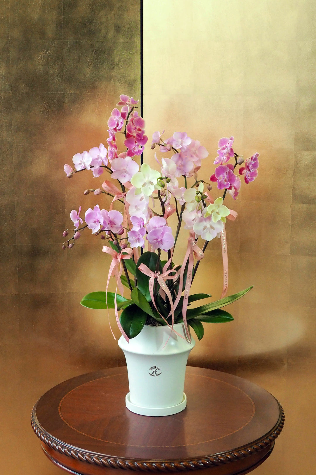 CNY 2026 | Pastel Posy · Phalaenopsis Orchids