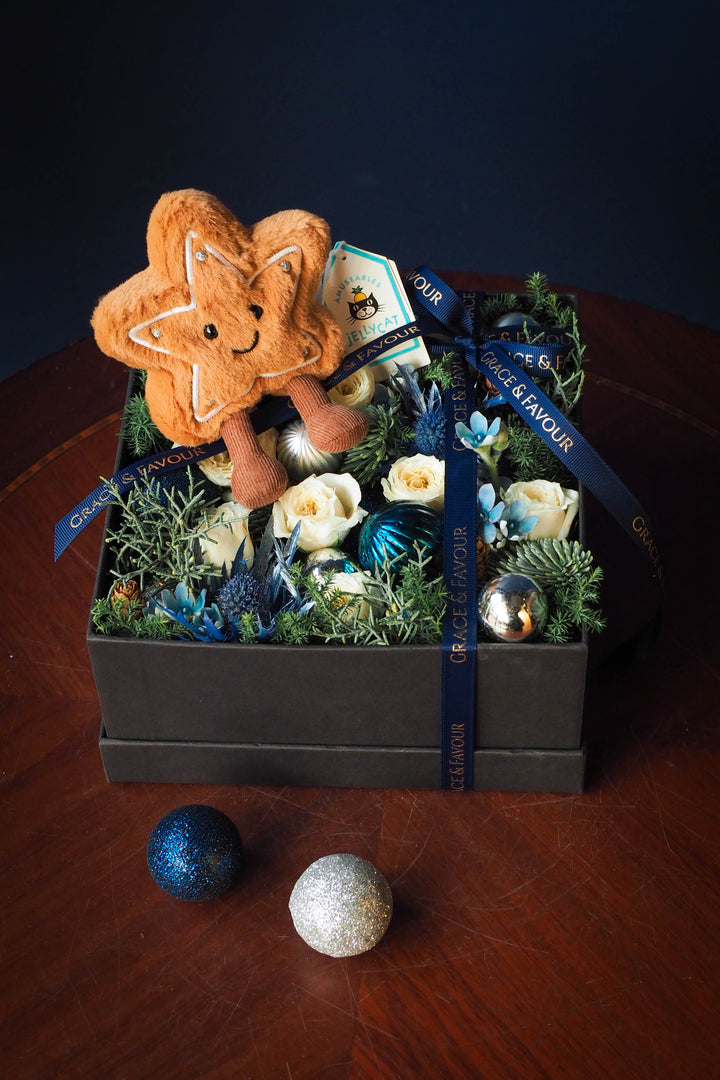 ❆ Christmas | Frosty