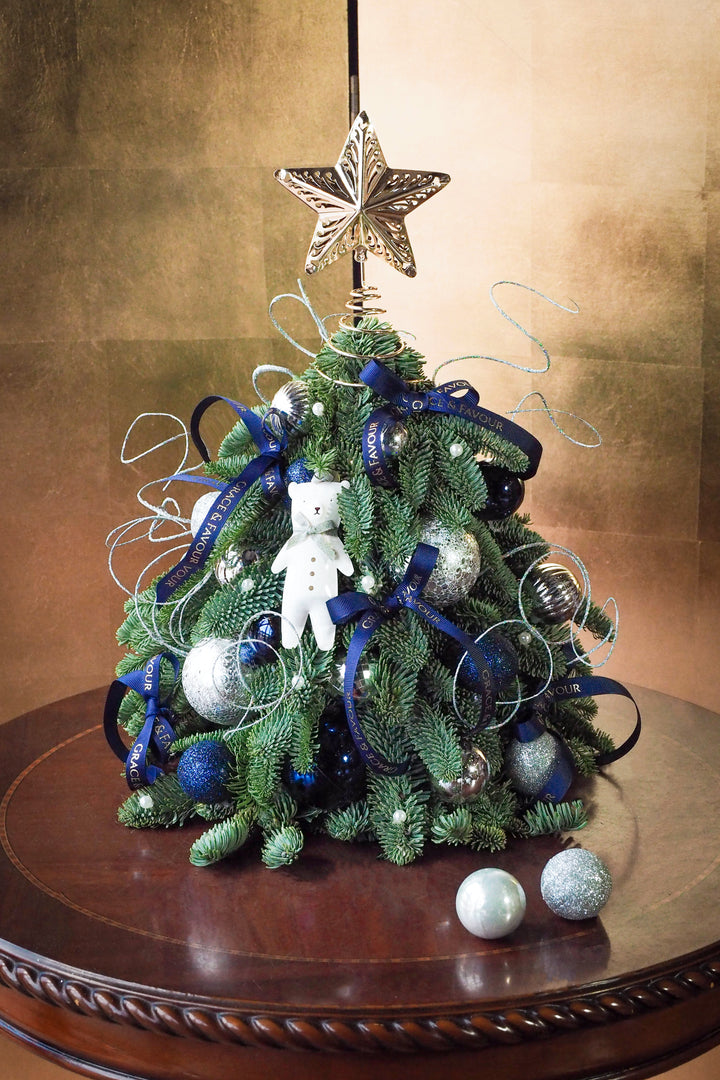 ❆ Christmas | Glacier