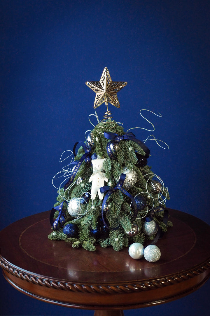 ❆ Christmas | Glacier