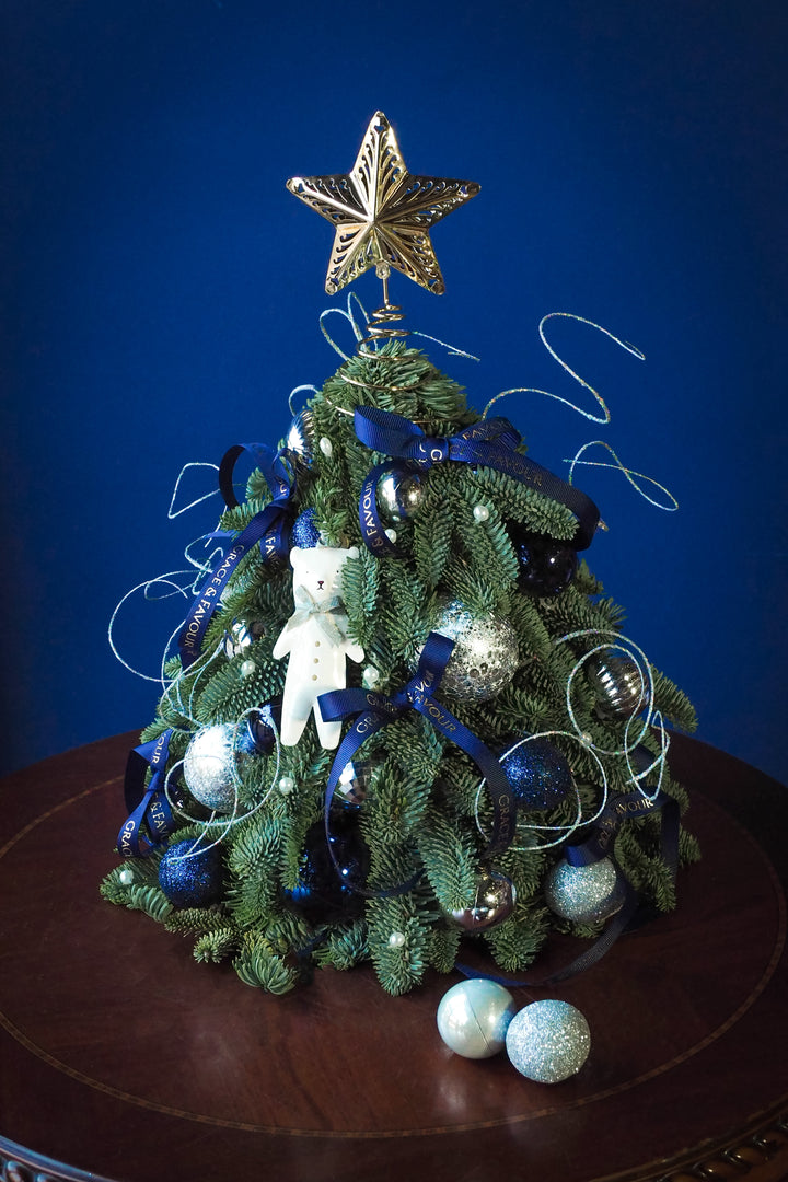 ❆ Christmas | Glacier