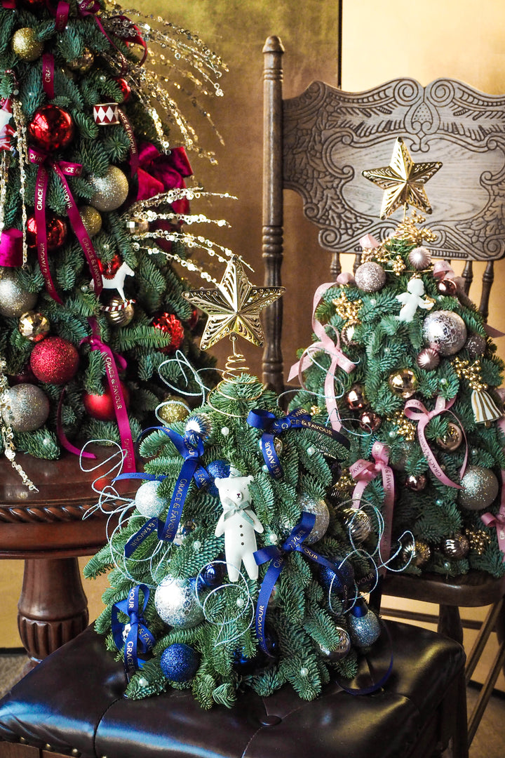 ❆ Christmas | Glacier