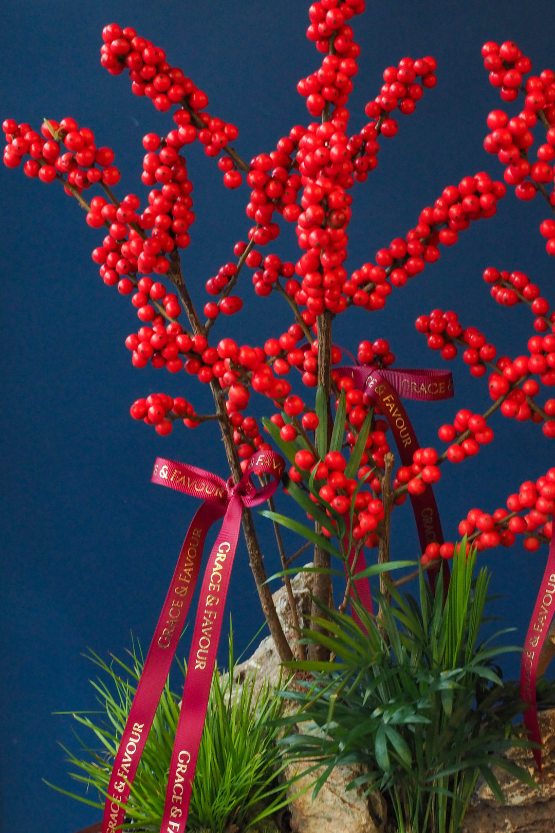 ❆ 聖誕節 | 冬青福果