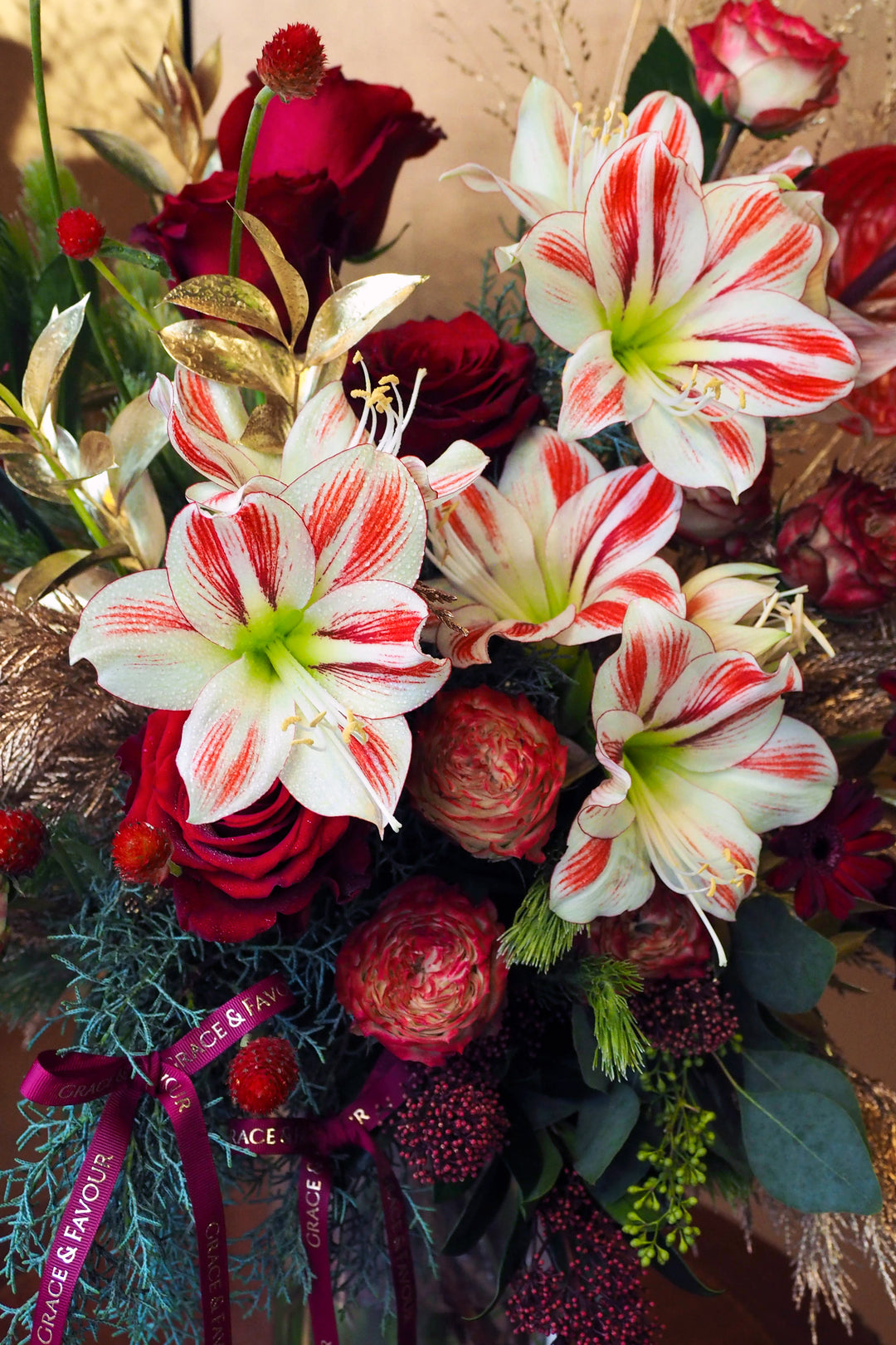 ❆ Christmas | Noel