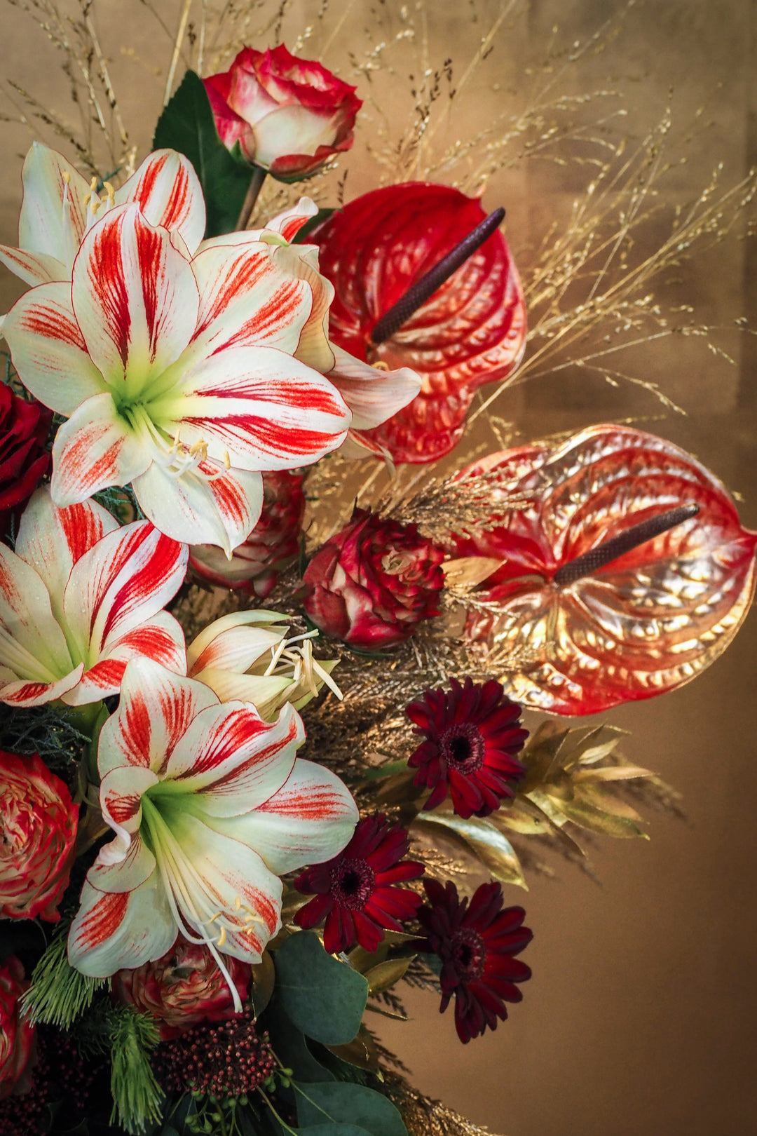 ❆ Christmas | Noel