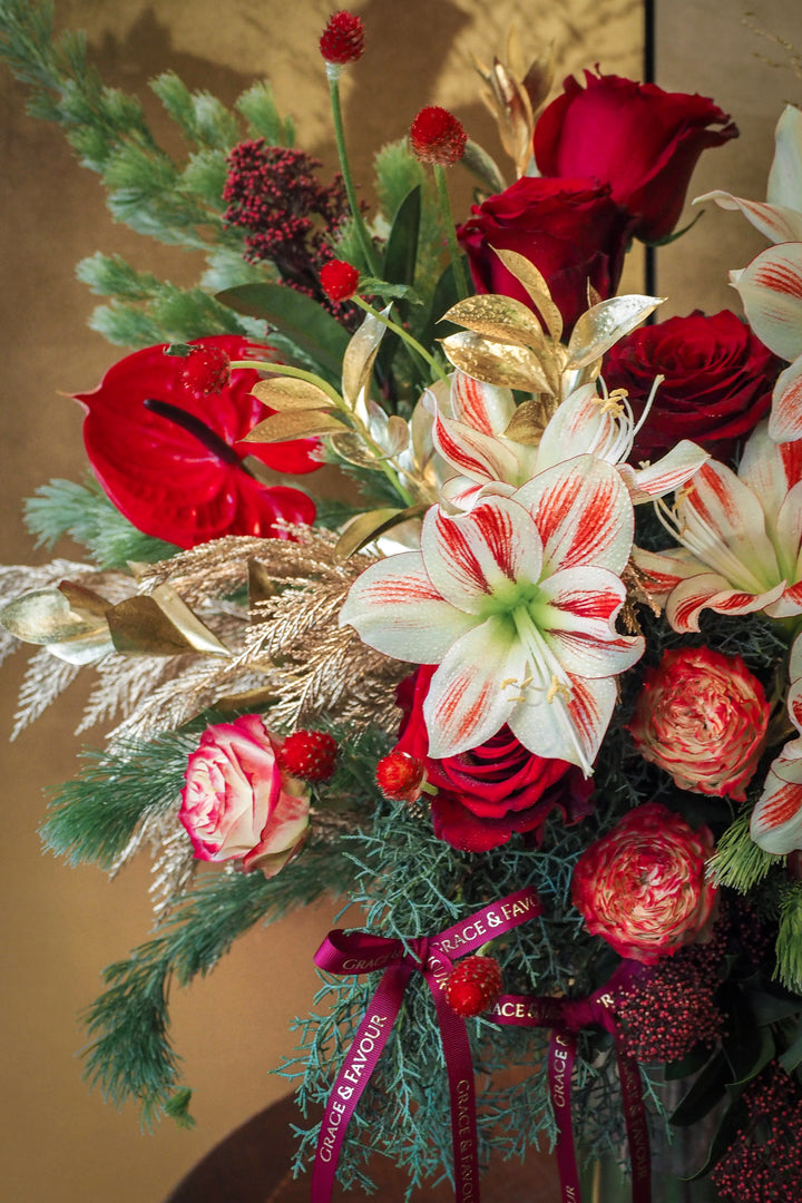 ❆ Christmas | Noel