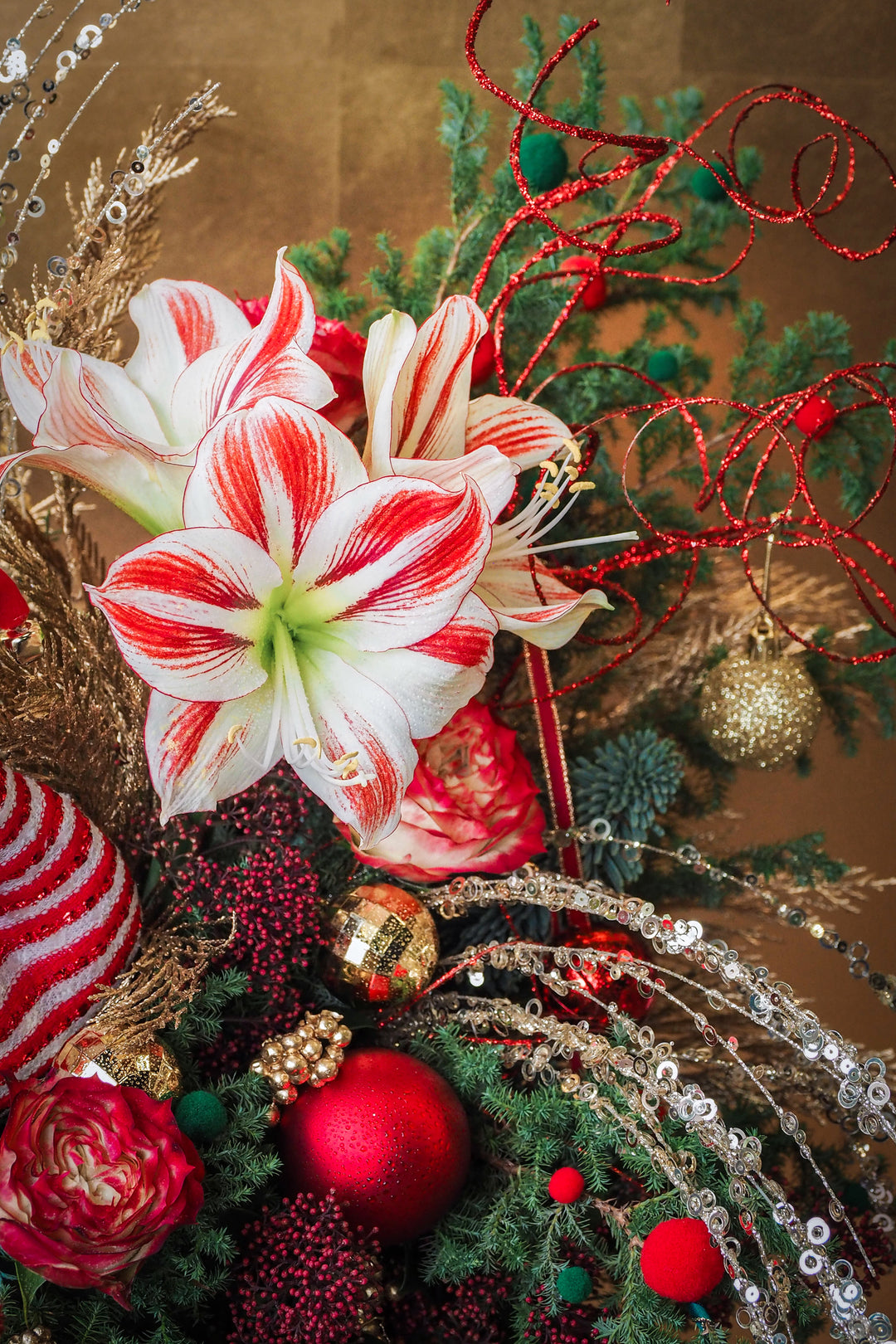 ❆ Christmas | Jolly